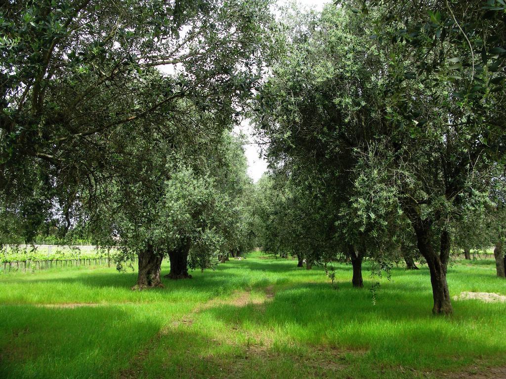 Masseria San Polo Squinzano Zewnętrze zdjęcie