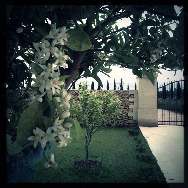 Masseria San Polo Squinzano Zewnętrze zdjęcie