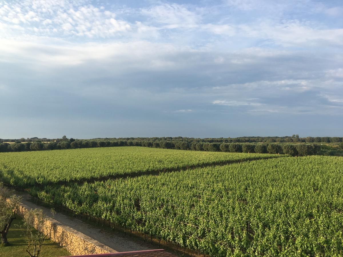 Masseria San Polo Squinzano Zewnętrze zdjęcie